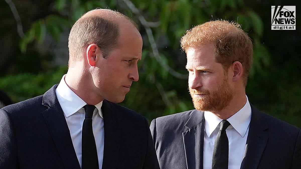 prince harry and prince william looking at each other during walkabout