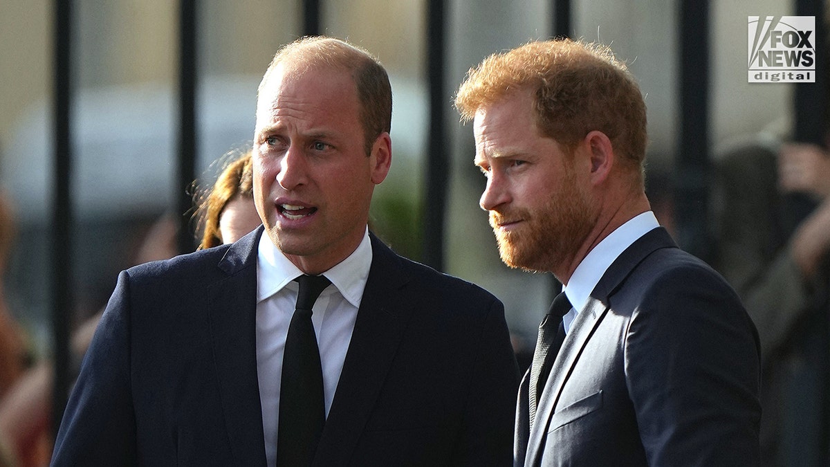 Prince William and Prince Harry are seen together outside Windsor Castle