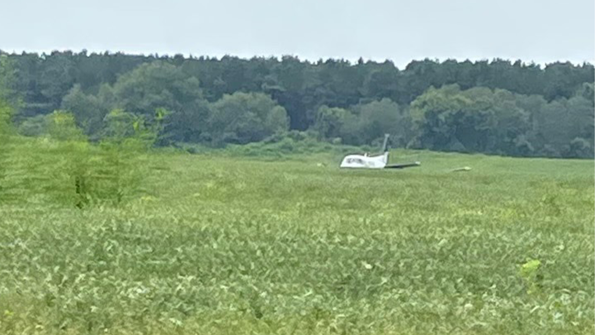 Patterson landed in a field