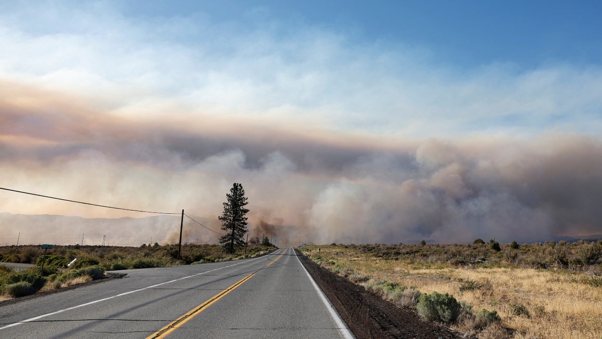 Smoke from the Mill Fire