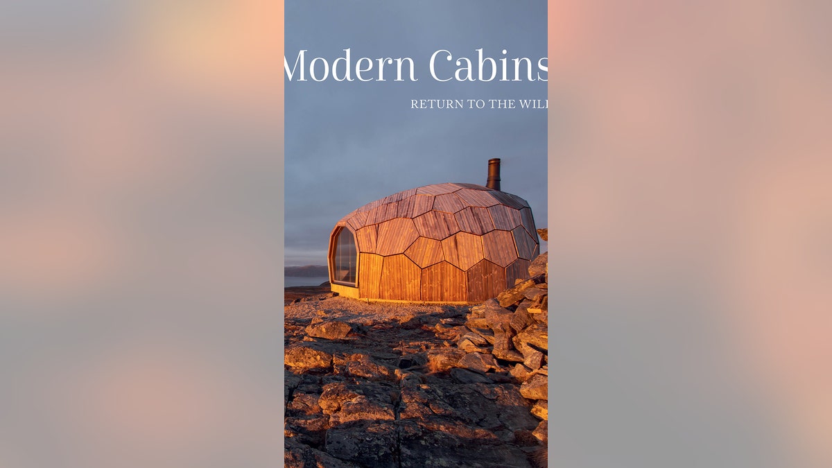 Modern Cabins