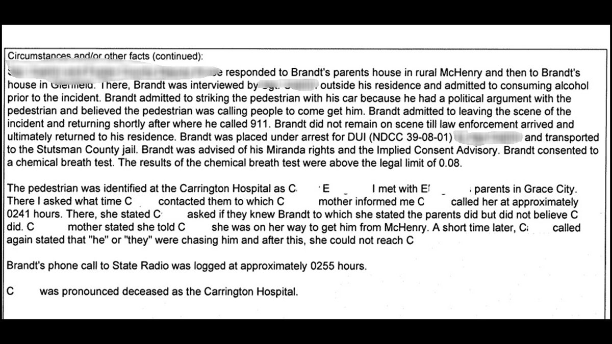Court records from Shannon Brandt's arrest