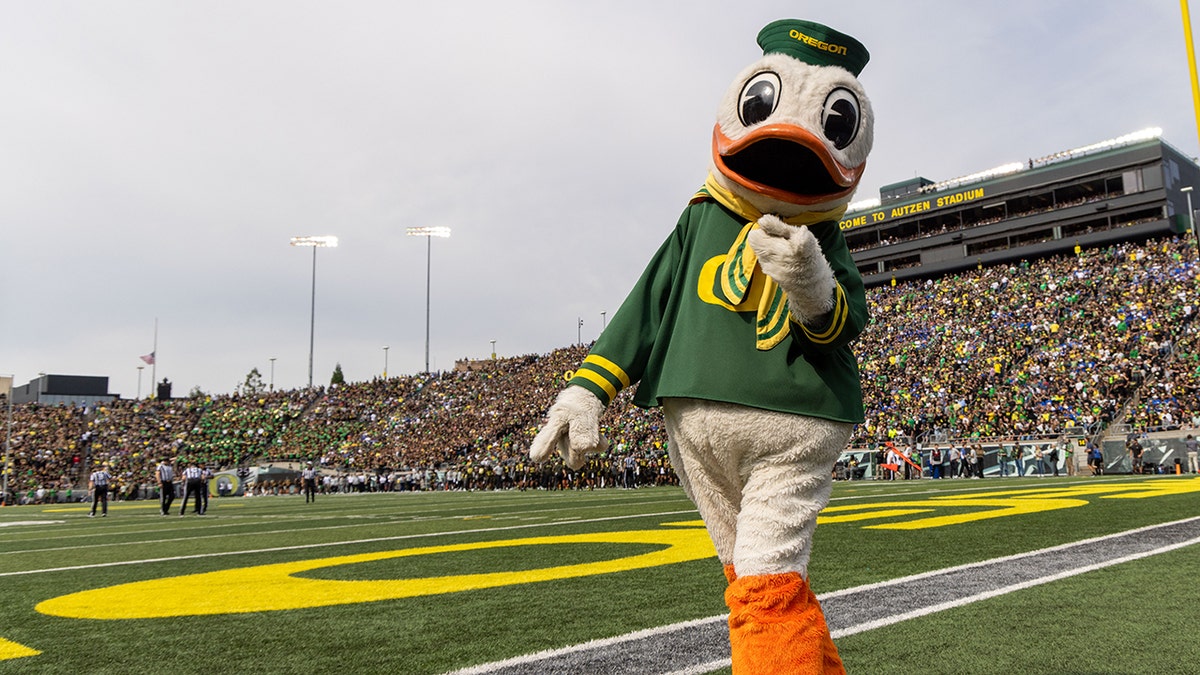 Puddles the mascot for Oregon