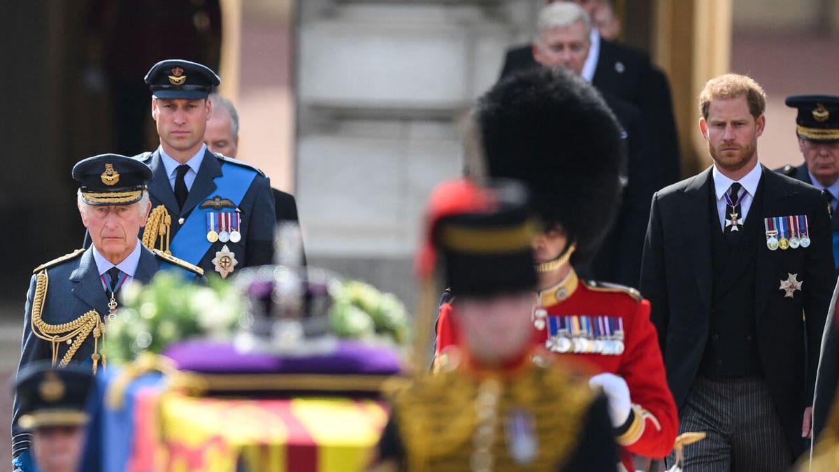 Prince Harry, Prince William, King Charles III