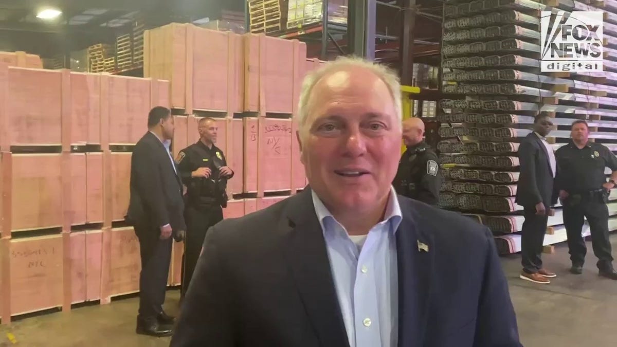 Rep Steve Scalise on Speaker Pelosi midterm elections $5.6 million