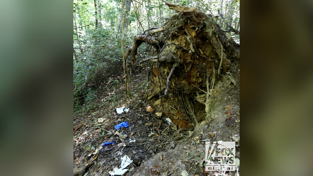 Charred uprooted tree, gloves on ground, burned paper towels