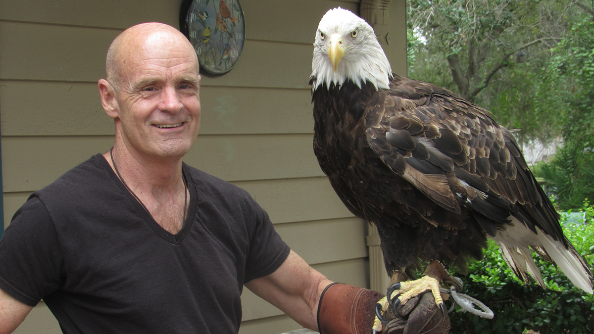 jack davis and bald eagle