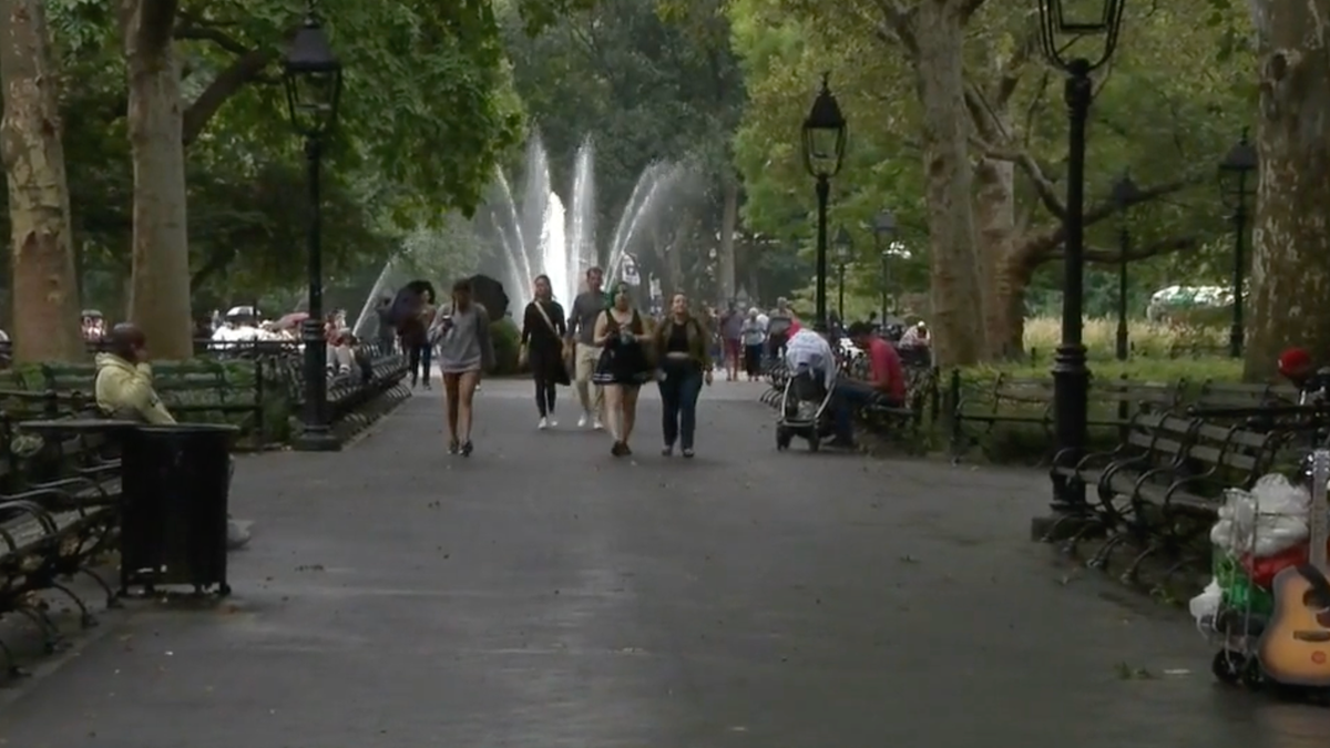 Washington Square Park crime