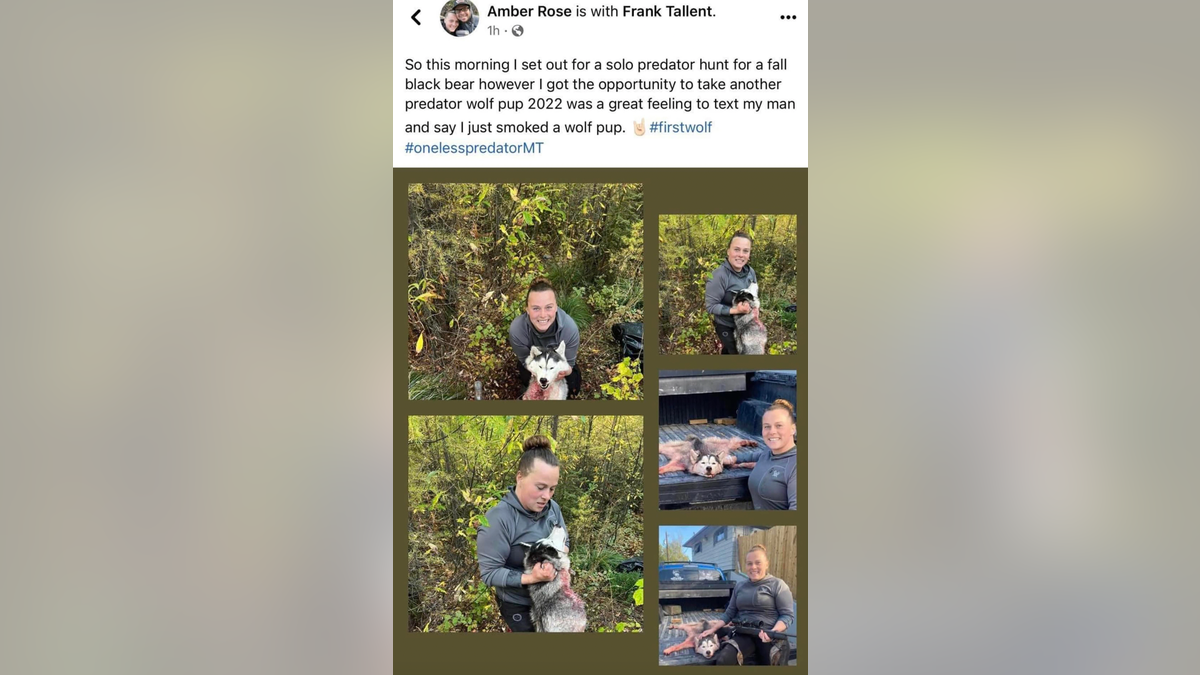 Amanda Rose Barnes' Facebook post showing five photos of her posing with the remains of a Siberian Husky