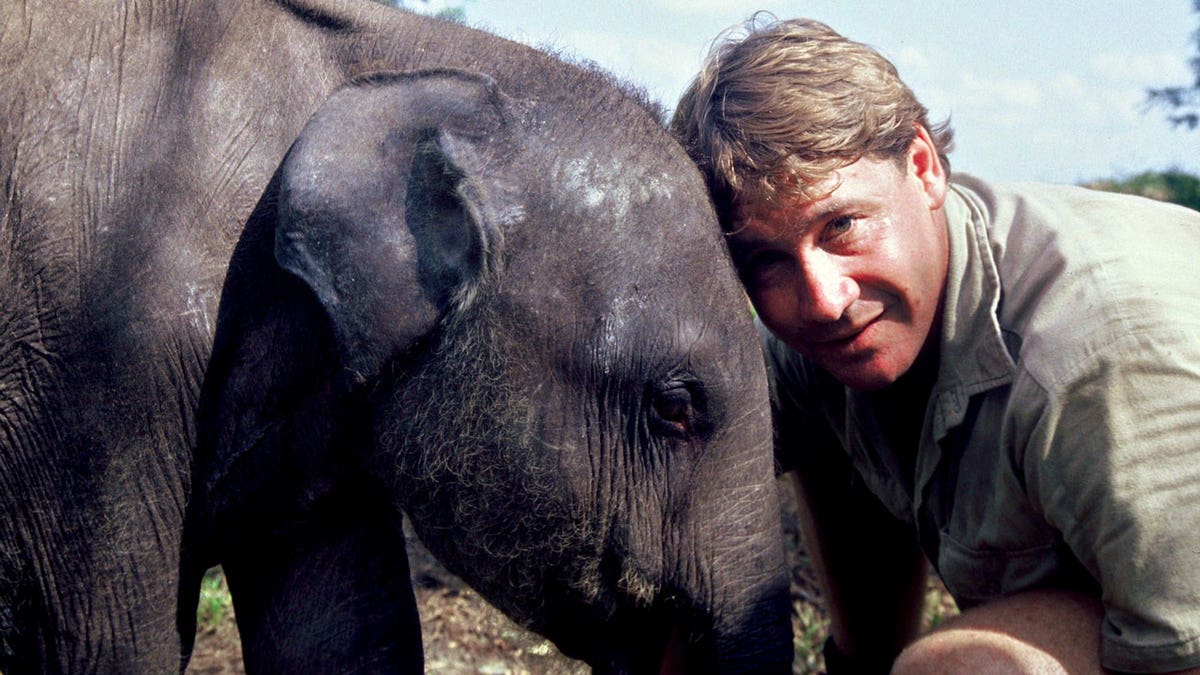 Steve Irwin poses with an elephant