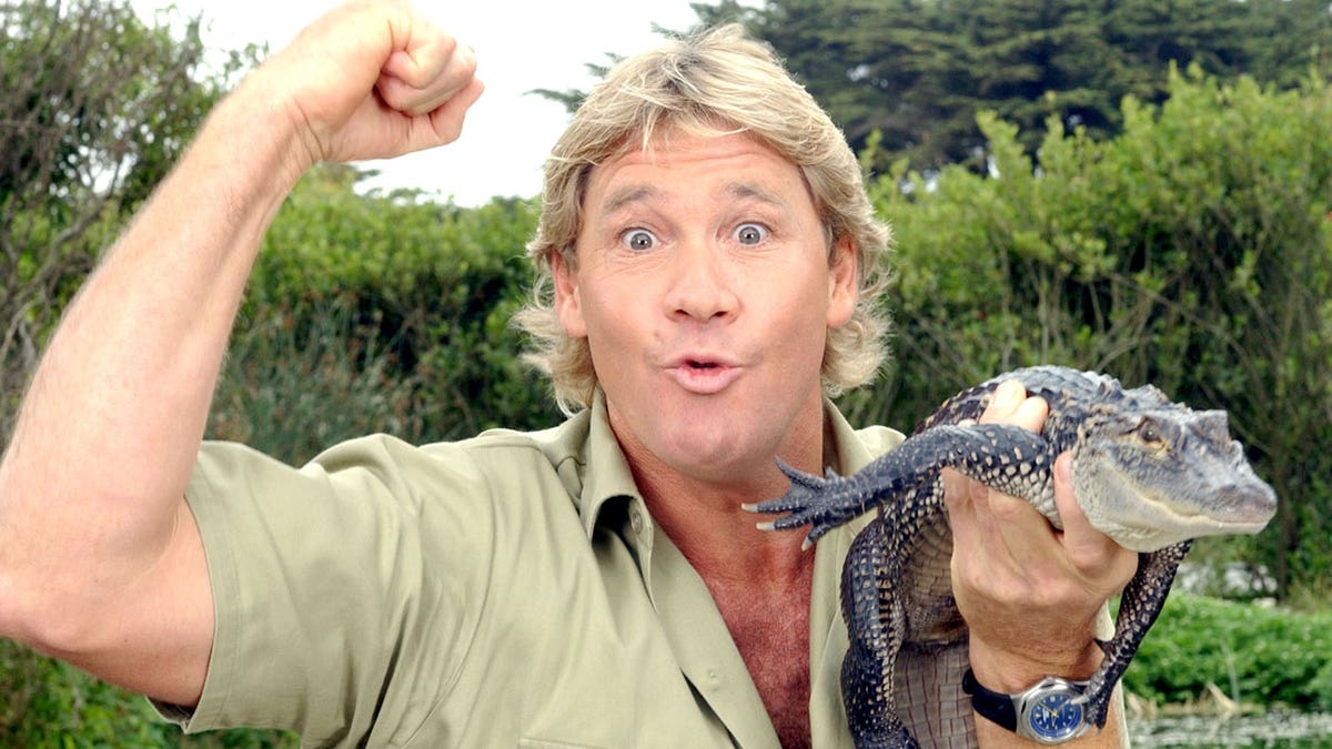 Steve Irwin poses with a crocodile