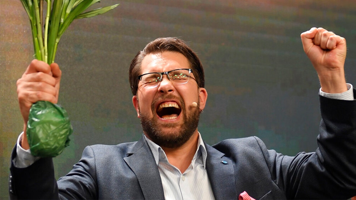 Jimmie Åkesson celebrates and delivers speech