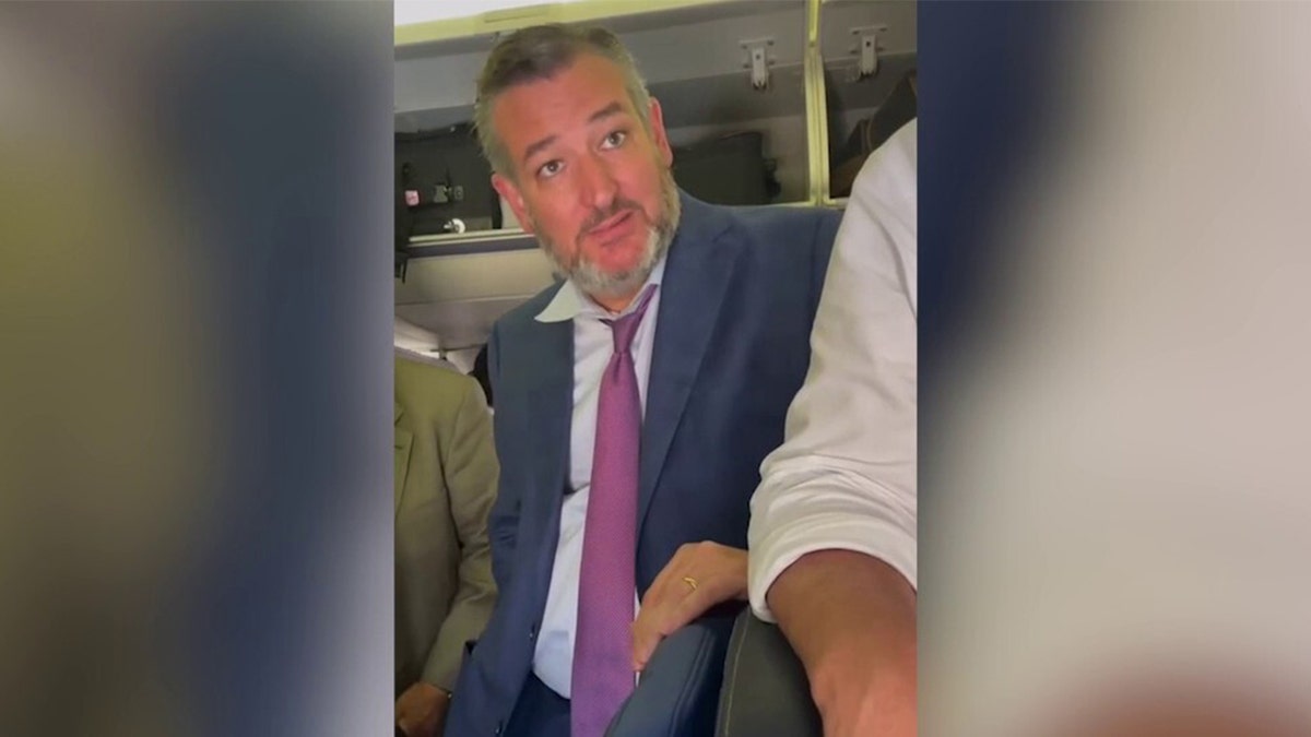Sen. Ted Cruz confronted on video on airplane