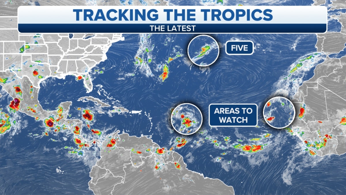 The Tropics forecast