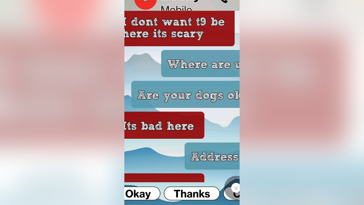 hurricane Ian texts