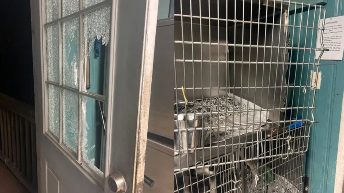 Atlanta animal shelter after break in