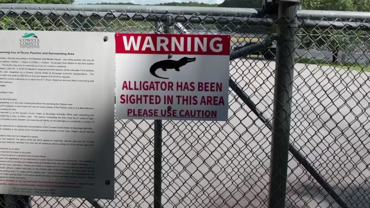 Alligator sign in Georgia