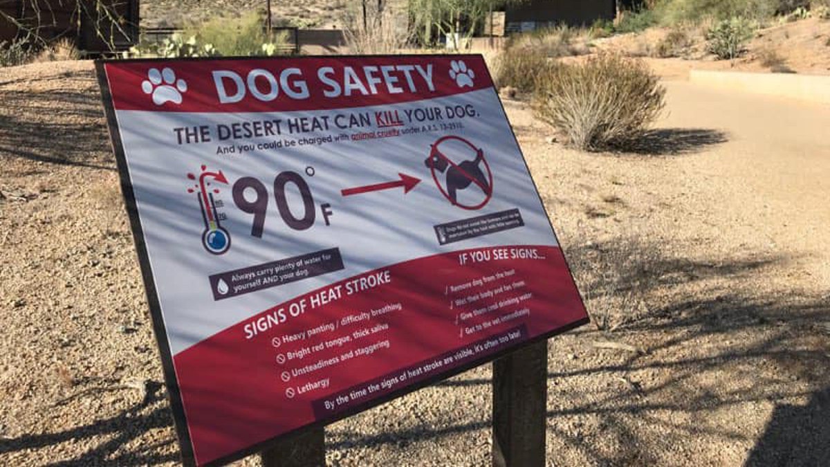 dog safety sign