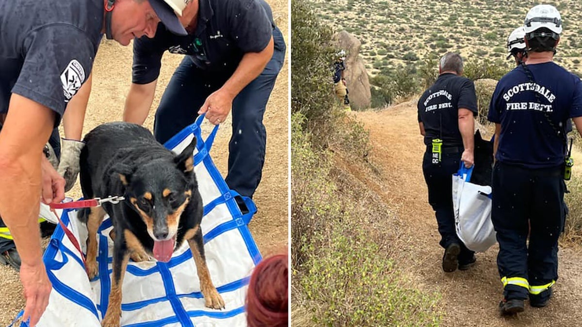 rescuers helping dog on hiking trail
