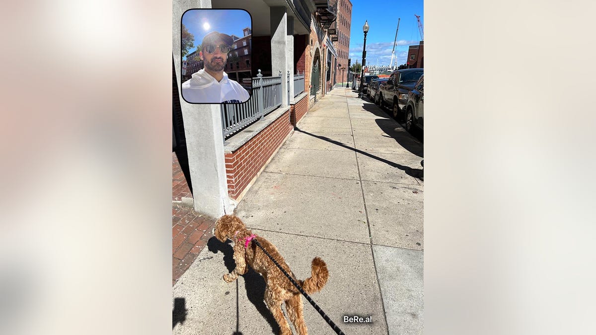 bereal walking dog in boston