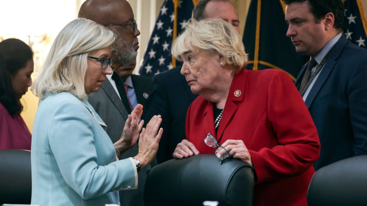 House Passes Liz Cheney-backed Election Reform Bill In Dem Push To ...