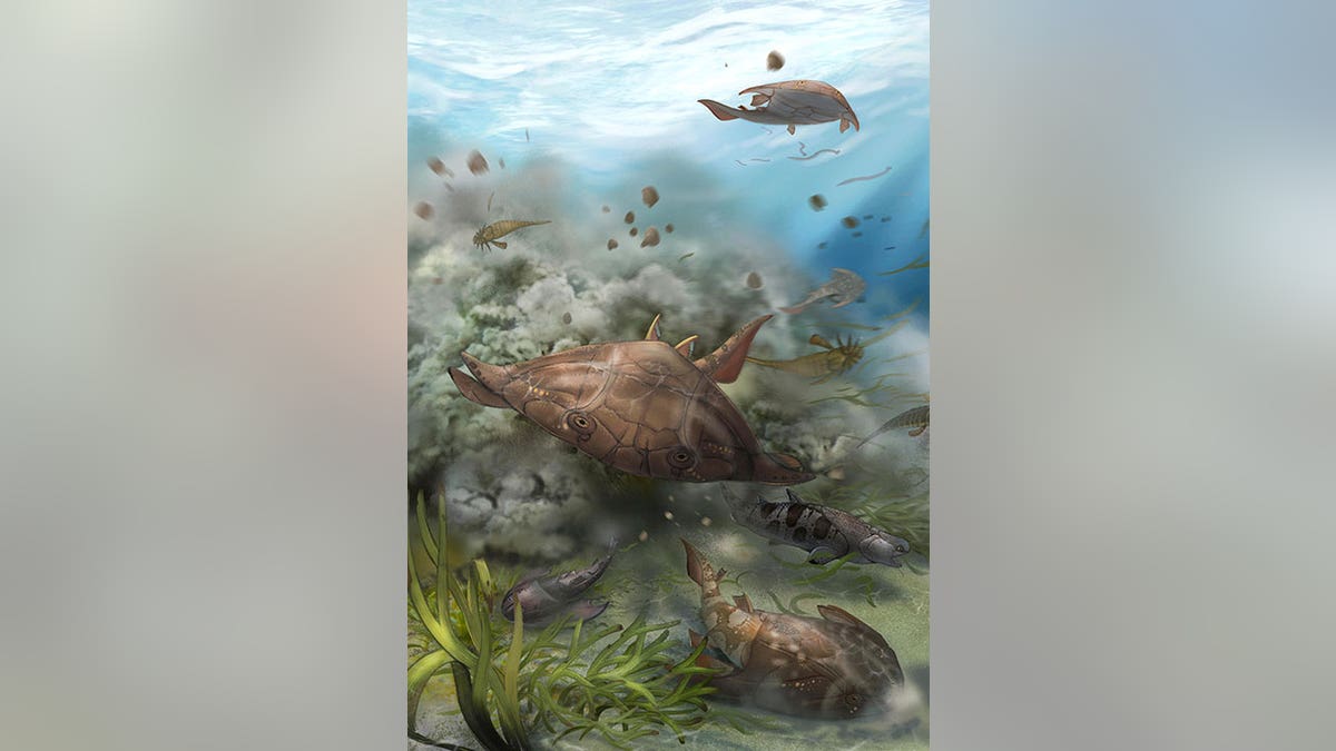 Computer-generated images of what backboned water-dwelling ancestors looked like based off of newly-found Chinese fish fossils