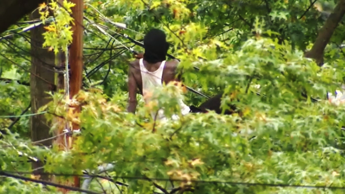 DC man climbs electrical wires prior to arrest