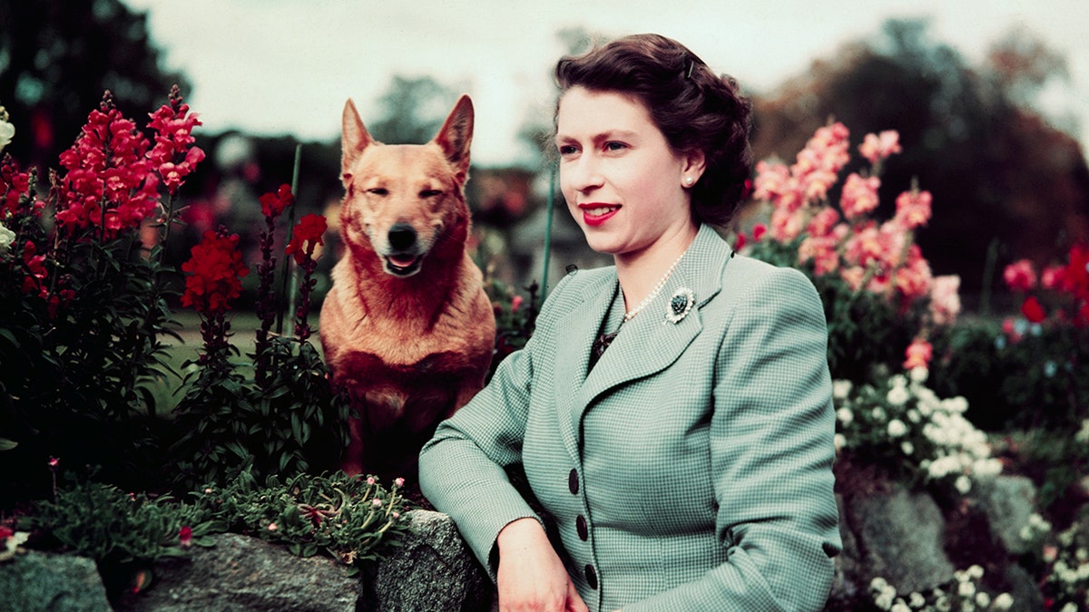 Queen Elizabeth II and her corgi