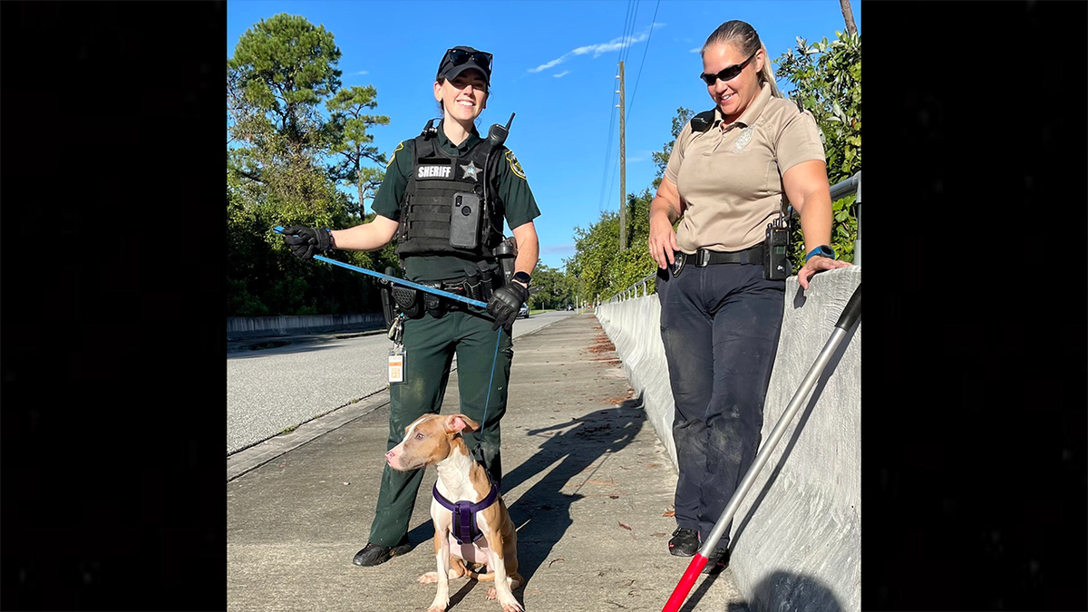 Daisy the dog and deputies