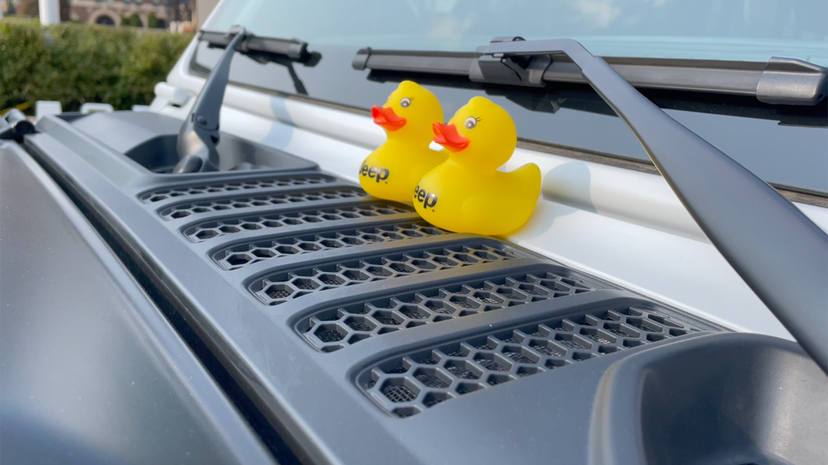 Ducks windshield