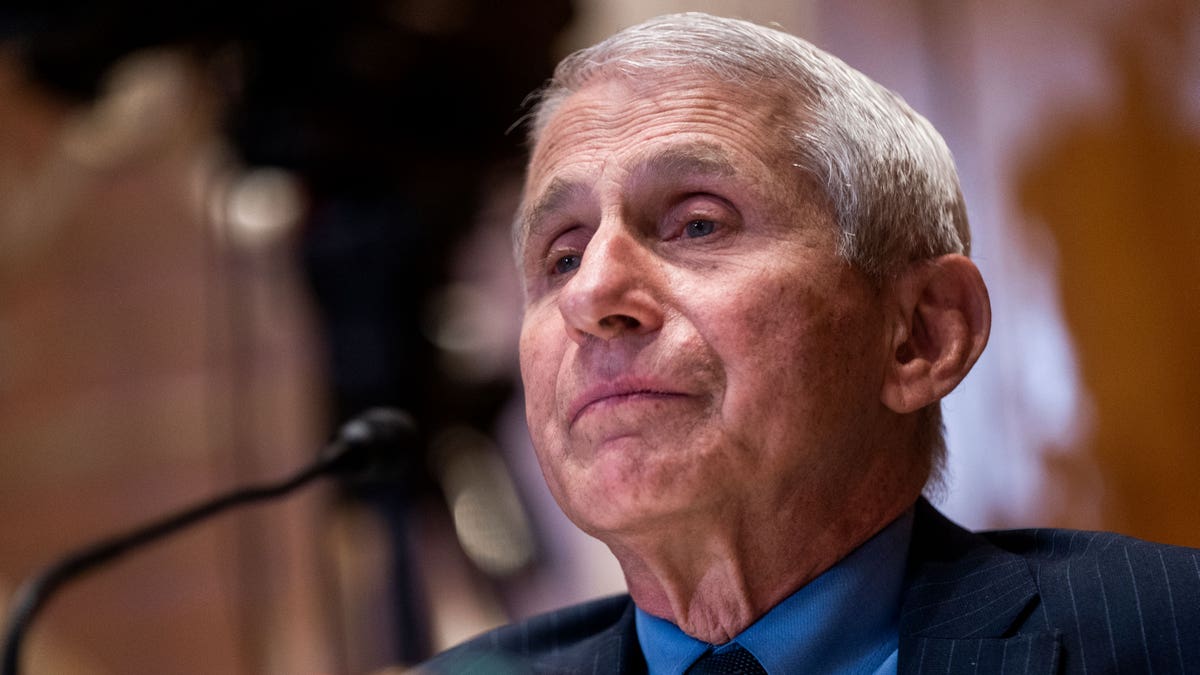 Dr. Anthony Fauci testifies