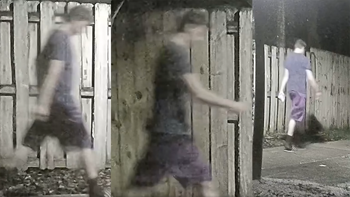 Florida trail attack surveillance video stills