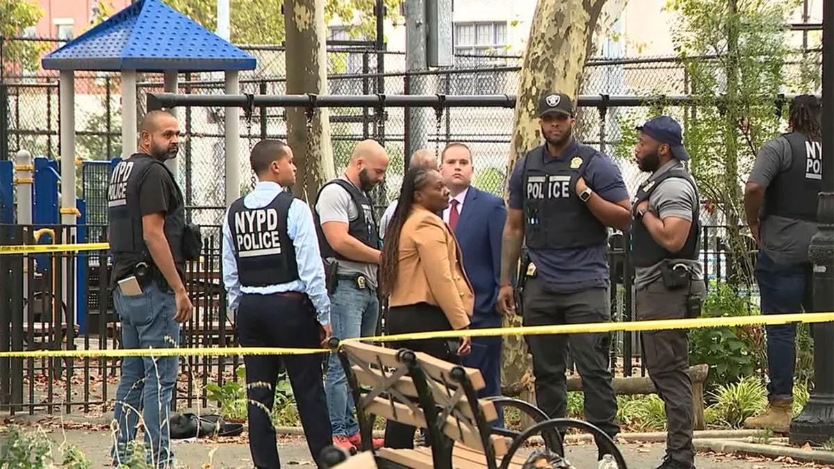 Teen killed in Brooklyn park scene