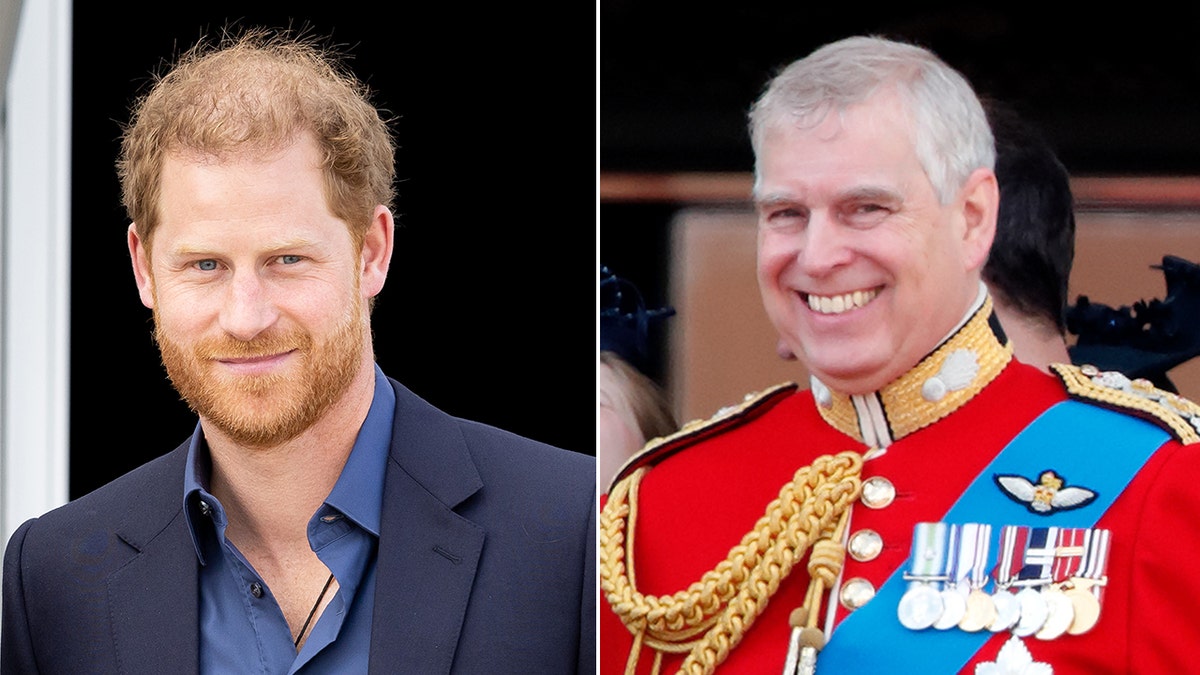 Prince Harry and Andrew split