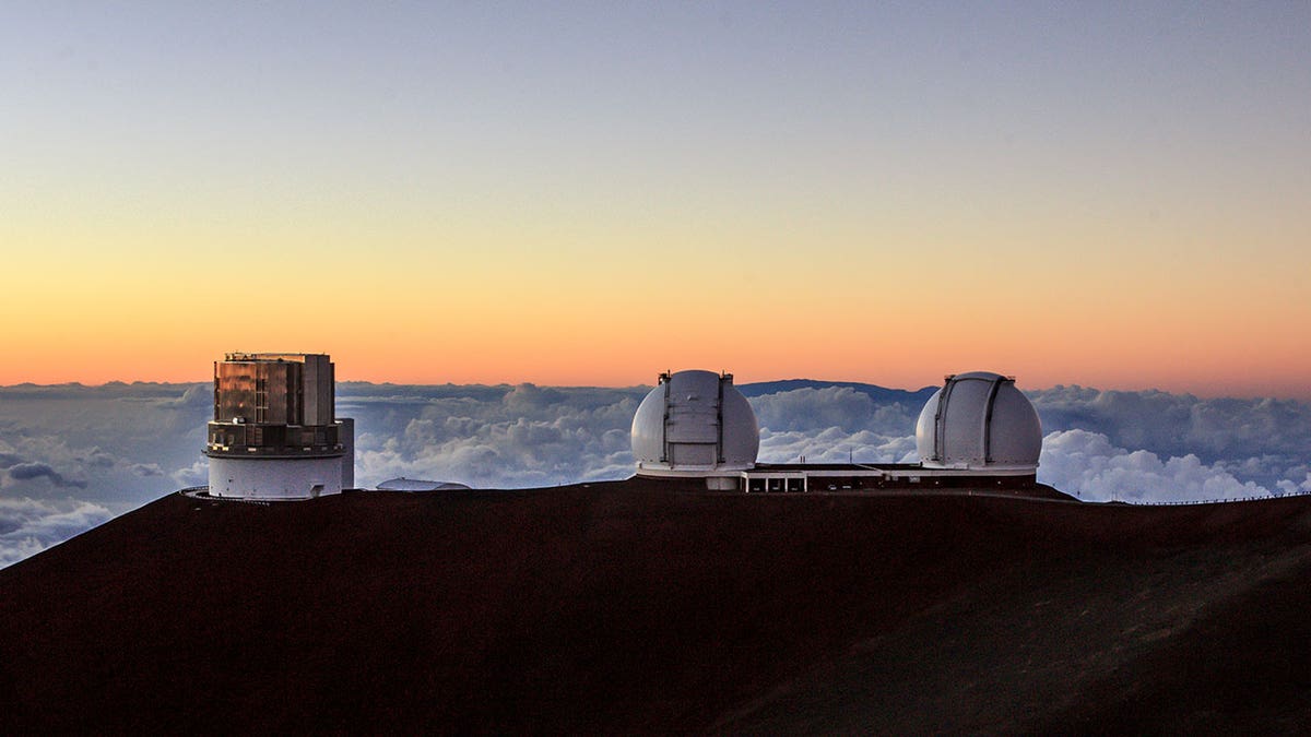 Native Hawaiian activists appointed to manage Mauna Kea