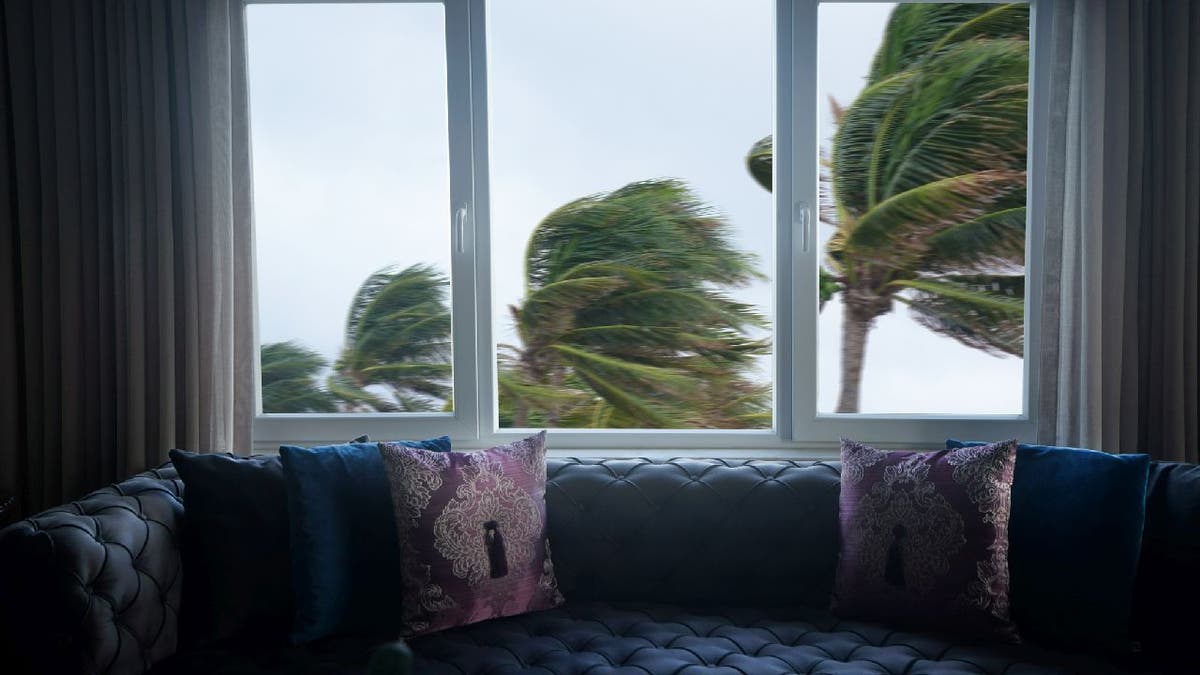 Hurricane winds move palms trees outside window