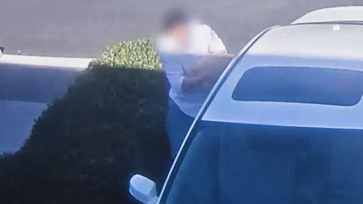 Man reaching into white vehicle