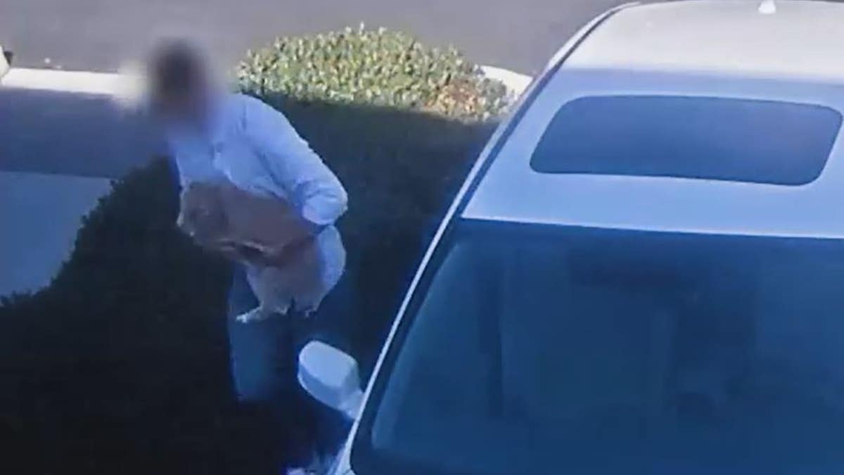 Man carrying a dog away from a white vehicle