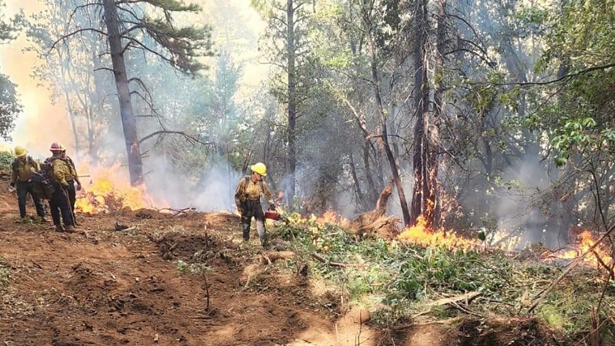 firefighter battling Mosquito Fire