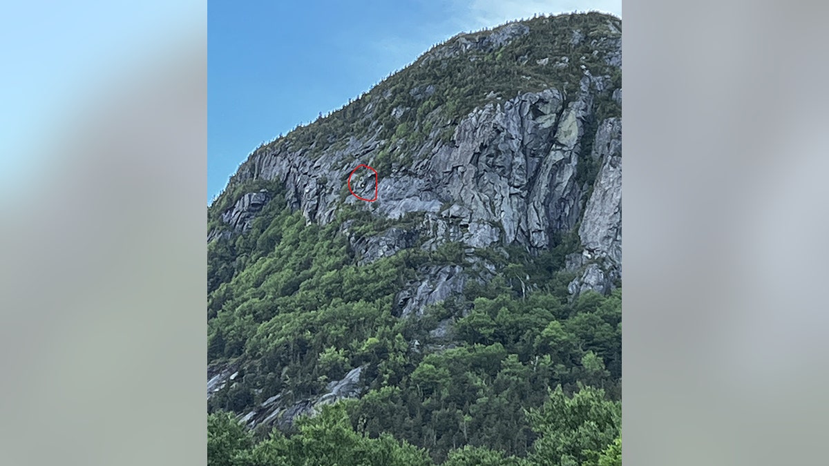 hiker stuck on cliff