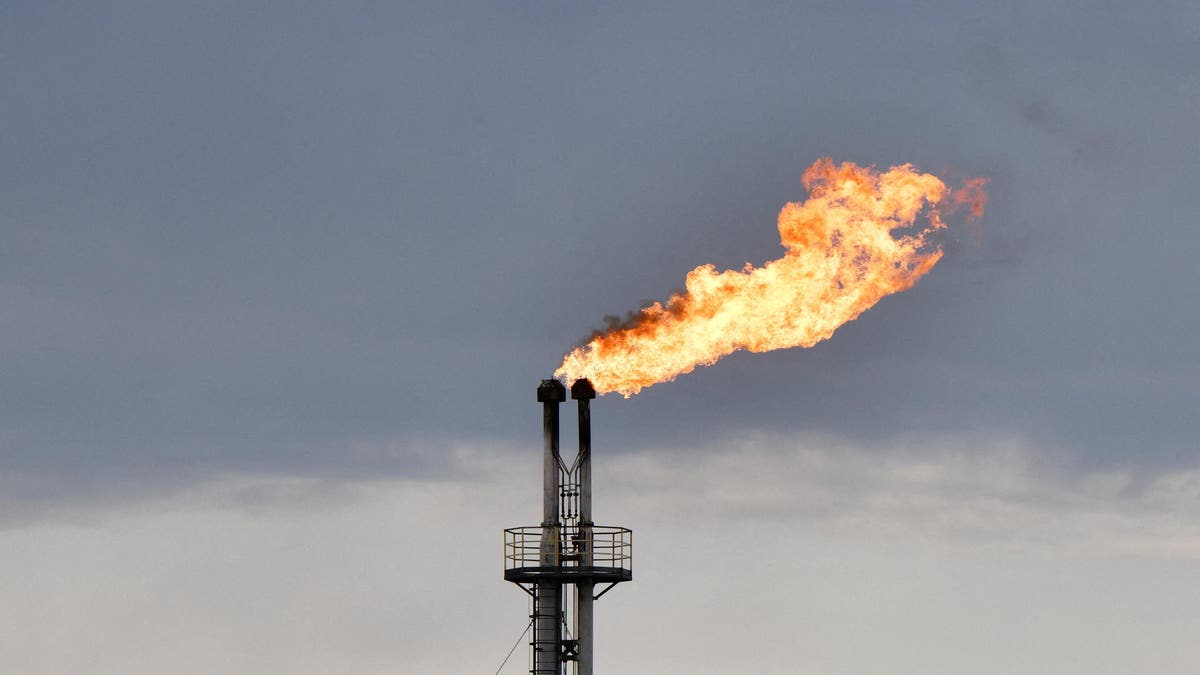 Oil Refinery during the day