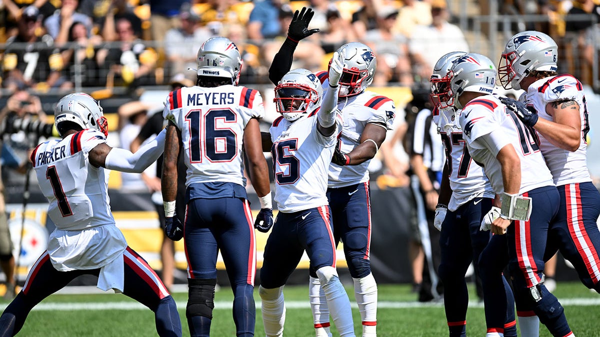 Patriots celebrate touchdown