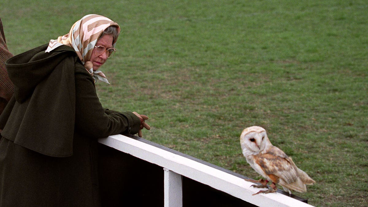 Queen Elizabeth II with a barn owl