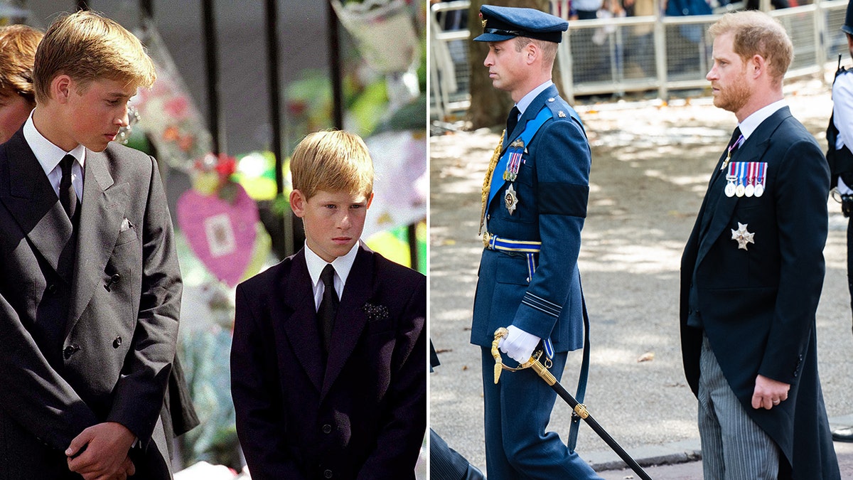 Prince William and Prince Harry funeral procession for Queen