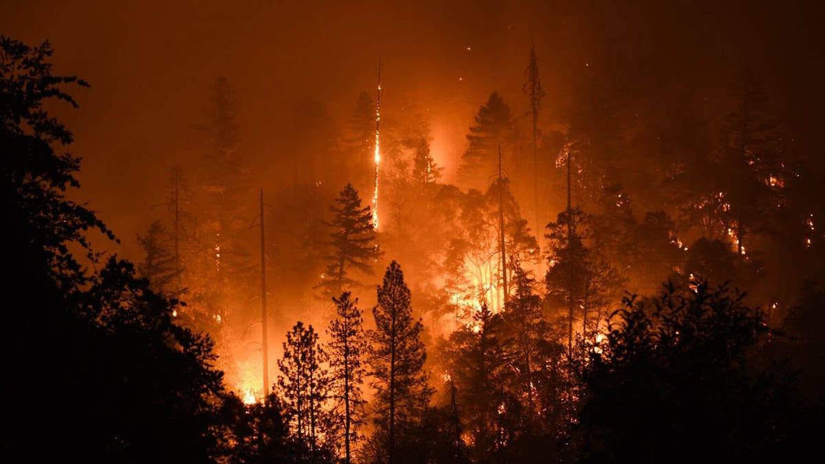 Rum Creek Fire flames burning forest