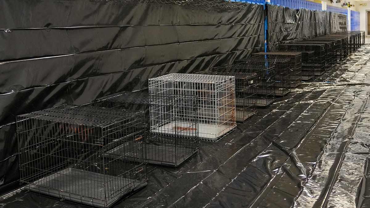 Empty pet cages before Hurricane Ian hit Florida