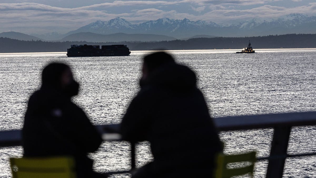 Untreated sewage from West Point Treatment Plant in Washington often overflows into the Sound