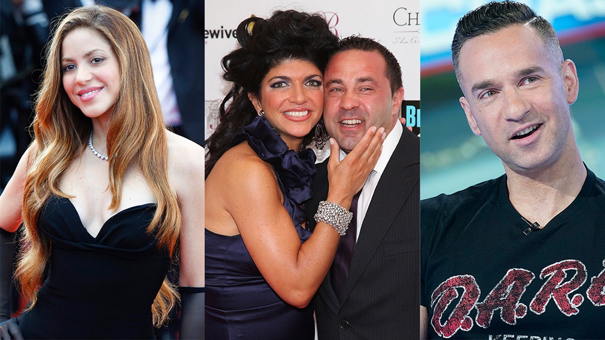 Shakira, Teresa and Joe Giudice and Mike 'The Situation'