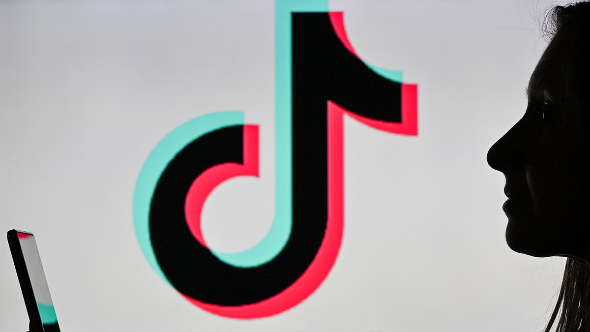 tik tok logo and face