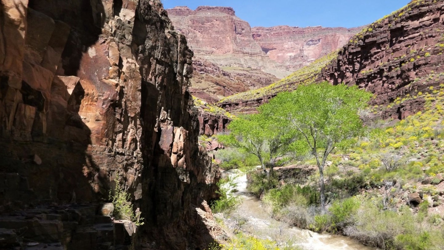 Grand Canyon Solo Hiker Found Dead in Rugged Trail